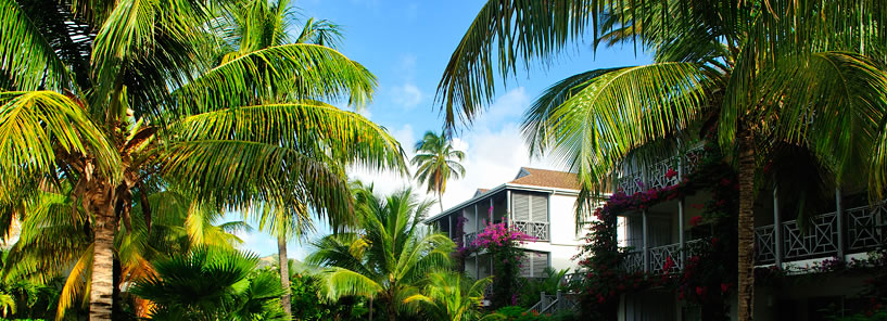 CARLISLE BAY : ANTIGUA