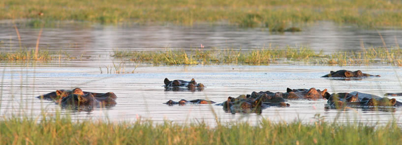 LEBALA : BOTSWANA