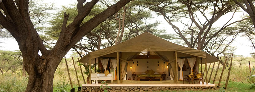 JOY’S CAMP : KENYA