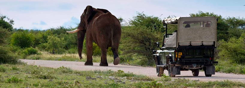 MUSHARA BUSH CAMP : NAMIBIA