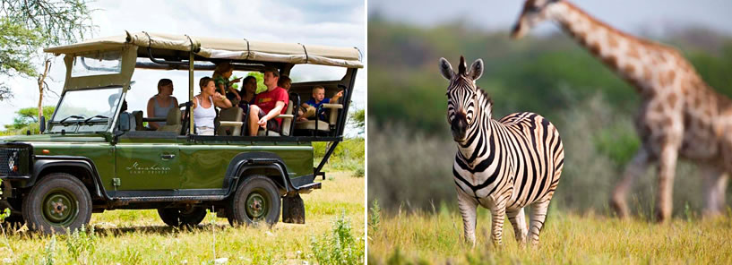 MUSHARA BUSH CAMP : NAMIBIA