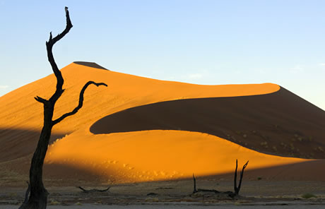 NAMIB DESERT : NAMIBIA