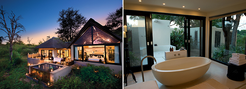 LION SANDS GAME RESERVE : SOUTH AFRICA