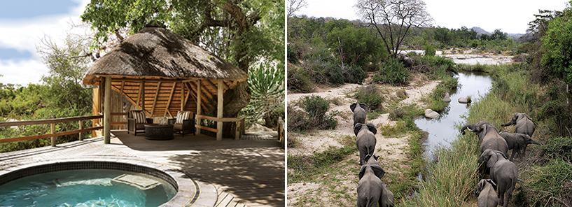 LONDOLOZI : SOUTH AFRICA