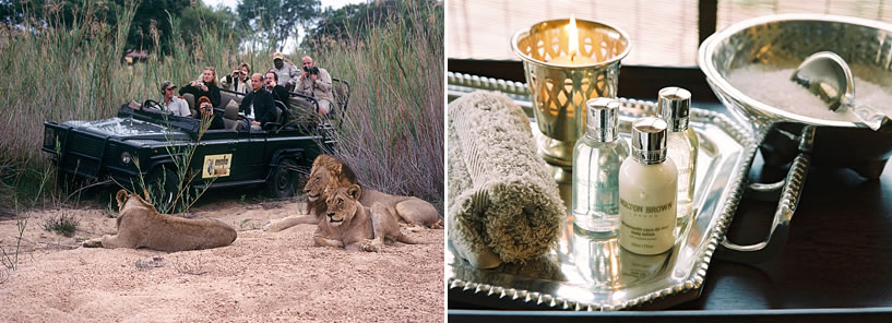 RATTRAY’S › MALAMALA GAME RESERVE : SOUTH AFRICA RATTRAY’S › MALAMALA GAME RESERVE : SOUTH AFRICA