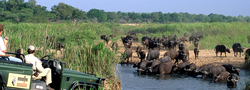 RATTRAY’S › MALAMALA GAME RESERVE : SOUTH AFRICA RATTRAY’S › MALAMALA GAME RESERVE : SOUTH AFRICA