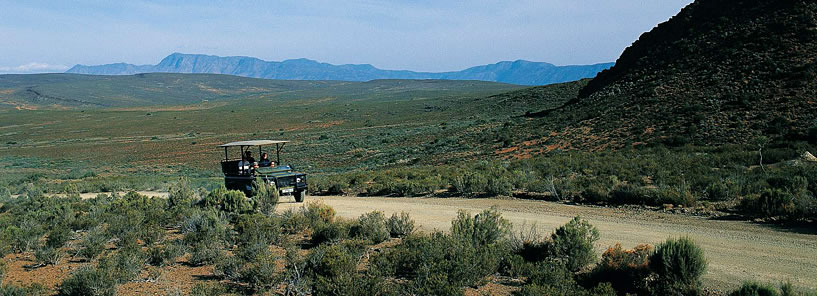 SANBONA GAME DRIVE > SANBONA WILDLIFE RESERVE : SOUTH AFRICA