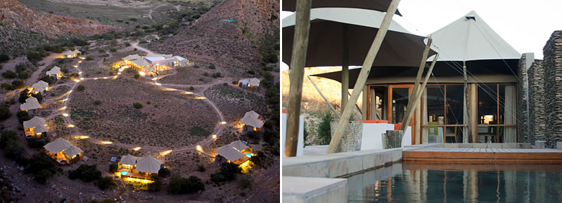 DWYKA TENTED LODGE > SANBONA WILDLIFE RESERVE : SOUTH AFRICA