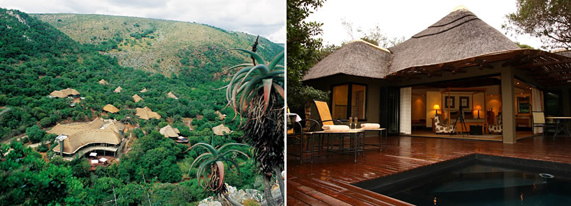 SHAMWARI GAME RESERVE : SOUTH AFRICA SHAMWARI GAME RESERVE : SOUTH AFRICA