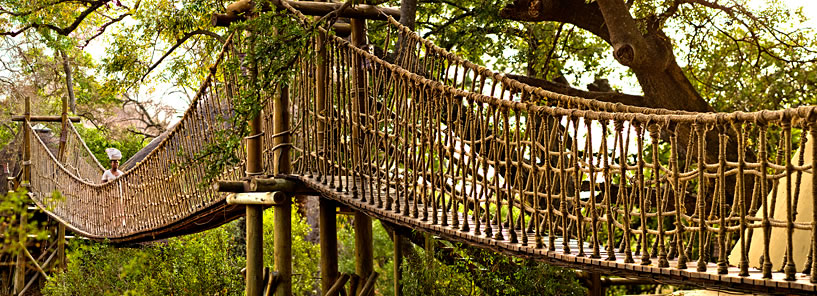 ULUSABA : SOUTH AFRICA