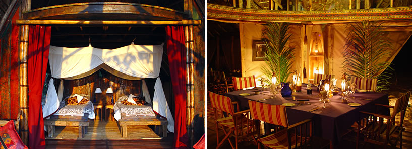 GREYSTOKE MAHALE : TANZANIA GREYSTOKE MAHALE : TANZANIA