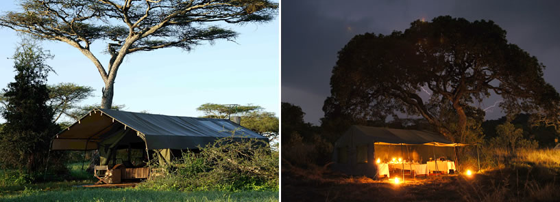 SERENGETI SAFARI CAMP : TANZANIA