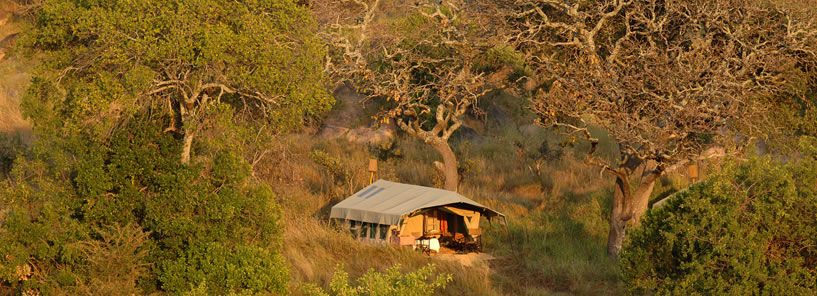 SERENGETI SAFARI CAMP : TANZANIA