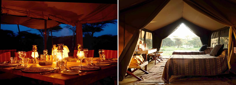 SERENGETI SAFARI CAMP : TANZANIA