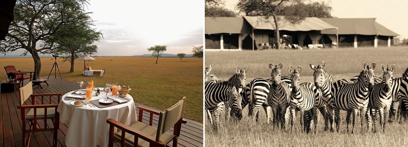 SINGITA : TANZANIA SINGITA : TANZANIA