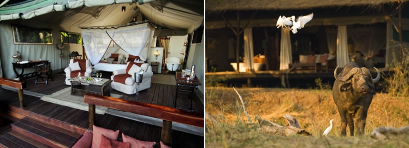 CHIAWA CAMP : ZAMBIA CHIAWA CAMP : ZAMBIA