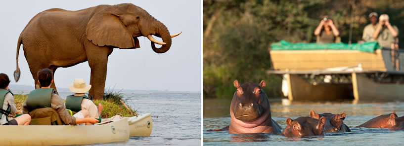 CHIAWA CAMP : ZAMBIA CHIAWA CAMP : ZAMBIA