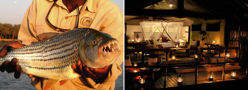 CHIAWA CAMP : ZAMBIA CHIAWA CAMP : ZAMBIA