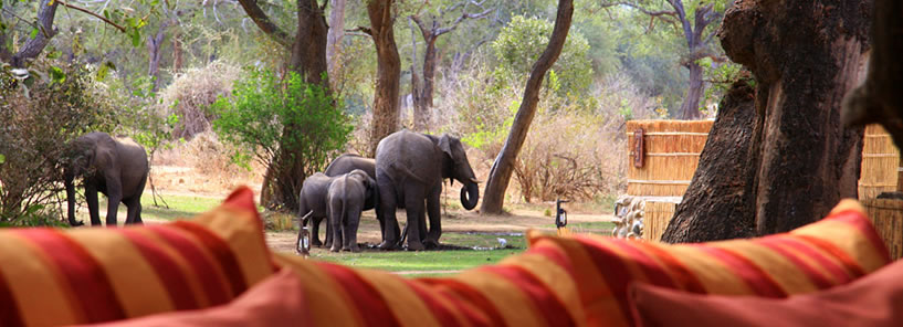 CHONGWE RIVER CAMP : ZAMBIA