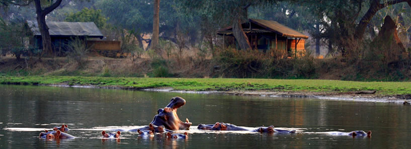 CHONGWE RIVER CAMP : ZAMBIA