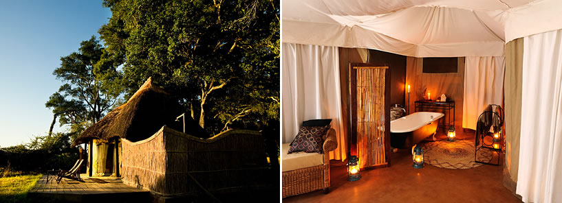 NORMAN CARR SAFARIS - MCHENJA BUSH CAMP : ZAMBIA