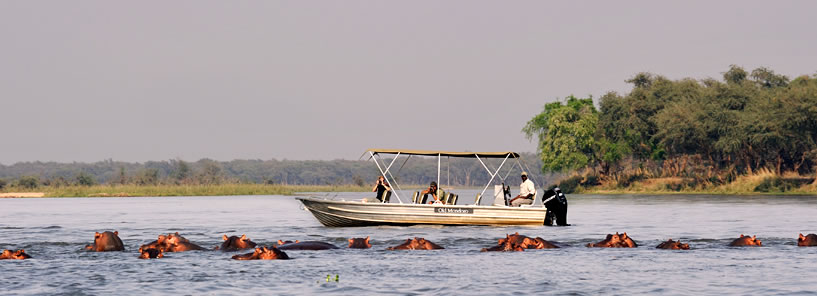 OLD MONDORO CAMP : ZAMBIA OLD MONDORO CAMP : ZAMBIA