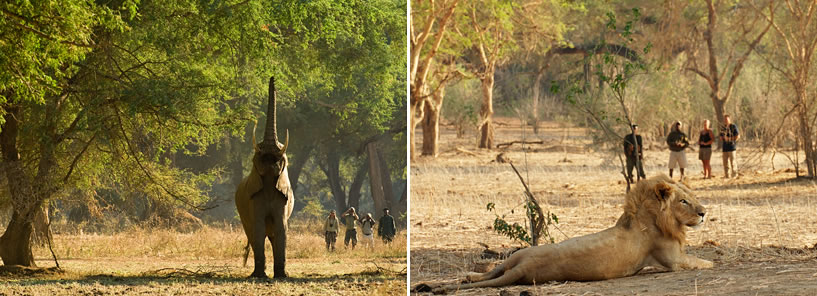 OLD MONDORO CAMP : ZAMBIA OLD MONDORO CAMP : ZAMBIA