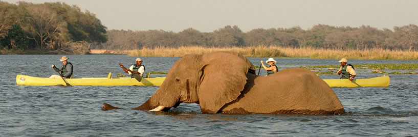 OLD MONDORO CAMP : ZAMBIA OLD MONDORO CAMP : ZAMBIA